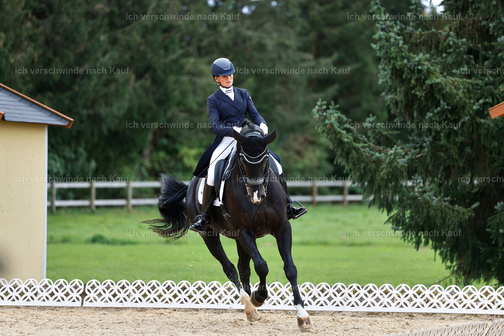 11-042-Dressur S___-StoibPH-1160 | working equitationturnier fotograf videograf stoibphotography marixx film working equitation deutschland reitsport turnierfotografie eventfotografie equestrian events