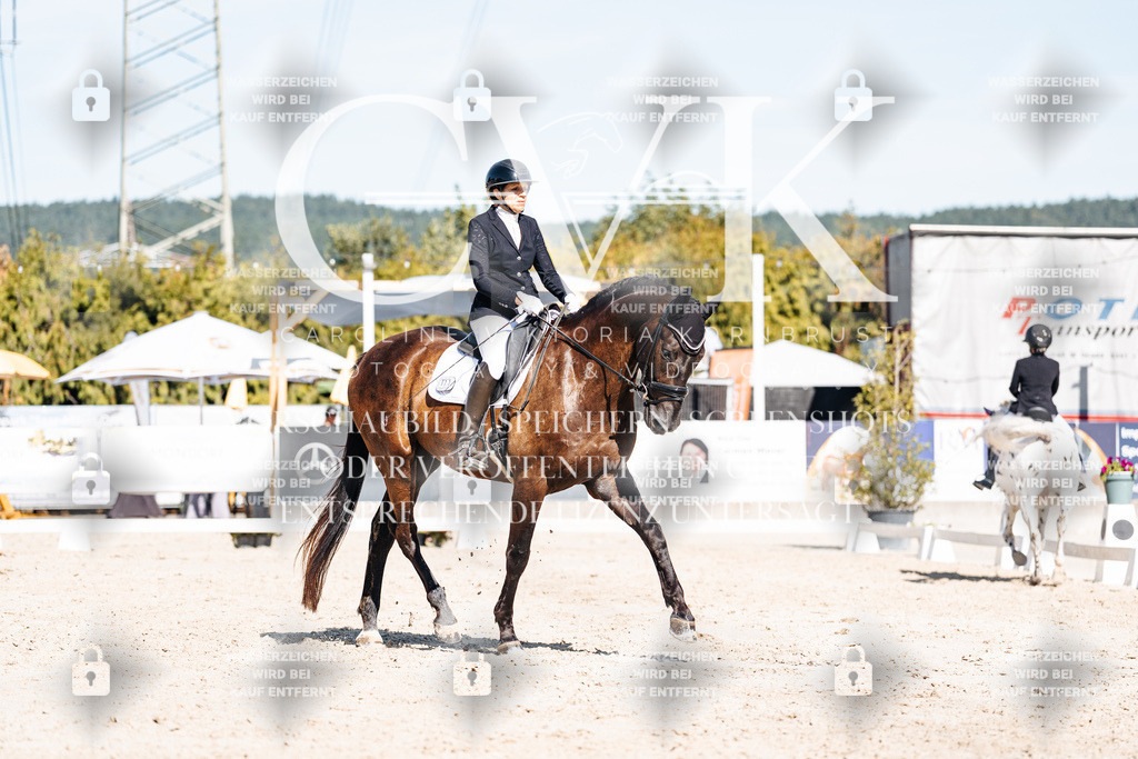 CK908581 | Turnierfotografie Pferdefotografie Trier Rheinland-Pfalz Pferdesport Reitsport Tierfotografie Sportfotografie Pferdevideo Pferdevideografie Equestrianvideography equestrianphotography  - Realisiert mit Pictrs.com
