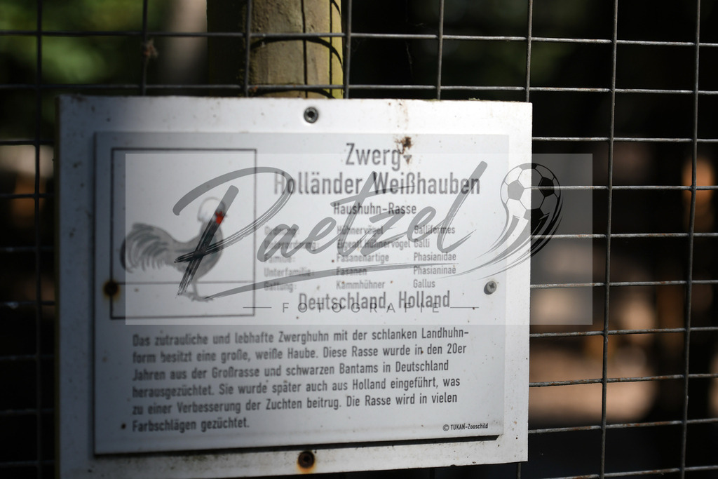 WILSAE20200601_0018 | Editorial:   im Wildfreigehege Noettler Berg am 01.06.2020 in Saerbeck, Deutschland. - Realisiert mit Pictrs.com