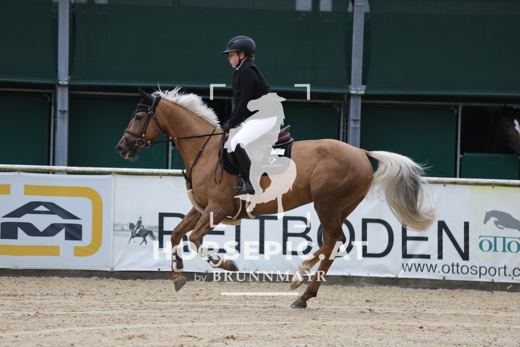 0P6A6844 | Willkommen bei Brunnmayr - Design & Fotografie – Ihrem Spezialisten für Reitturniere und Pferdeveranstaltungen in Oberösterreich, Salzburg und Bayern! Seit über 17 Jahren sind wir leidenschaftlich dabei.
