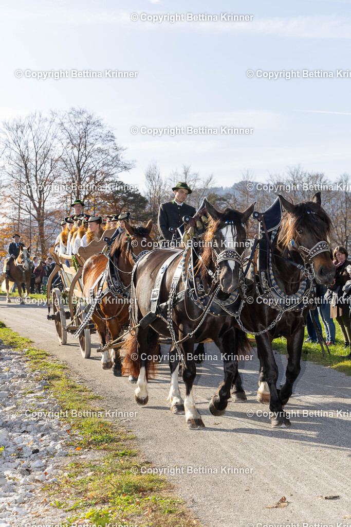 LBT24-1184 | foto-bettina-krinner - Realisiert mit Pictrs.com