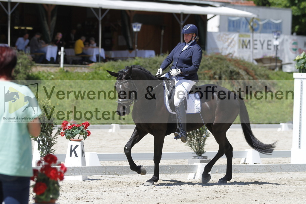 _MG_4977 | equestrian-live-com