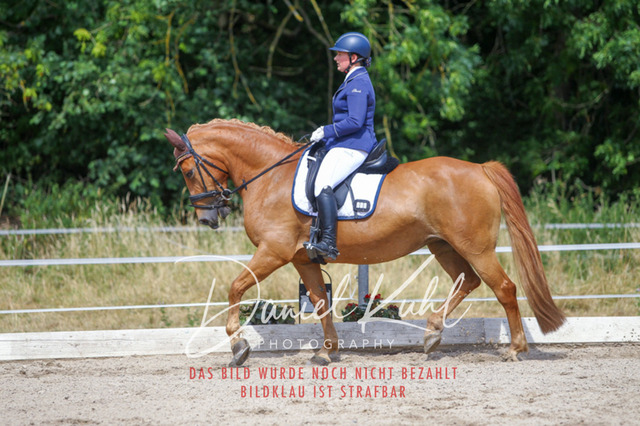 DKP46693 | Turniersportfotografie; Pferdefotografie; Dressurfotografie