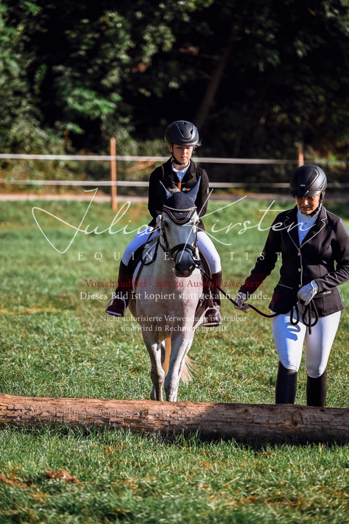 DSC_0408 | Pferde- und Turnierfotografie in Westsachsen. Pferdeportraits, Auftragszeichnungen und intuitive Kunst.