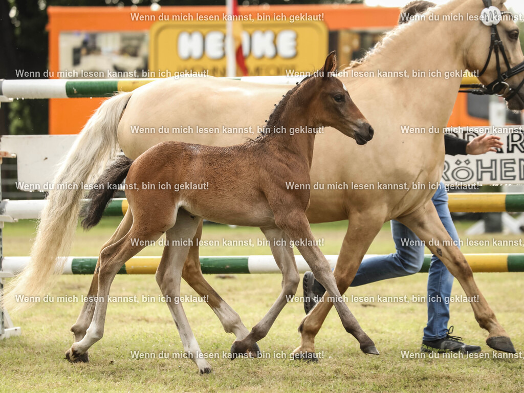 598A2172-2 | photographylinaismer - Realisiert mit Pictrs.com