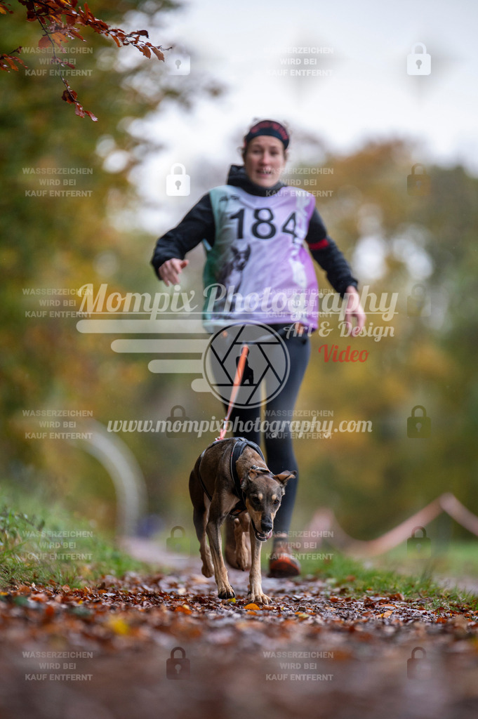 DBT_DAKM_SA_4_11_2023_Canicross-25 | PayLife