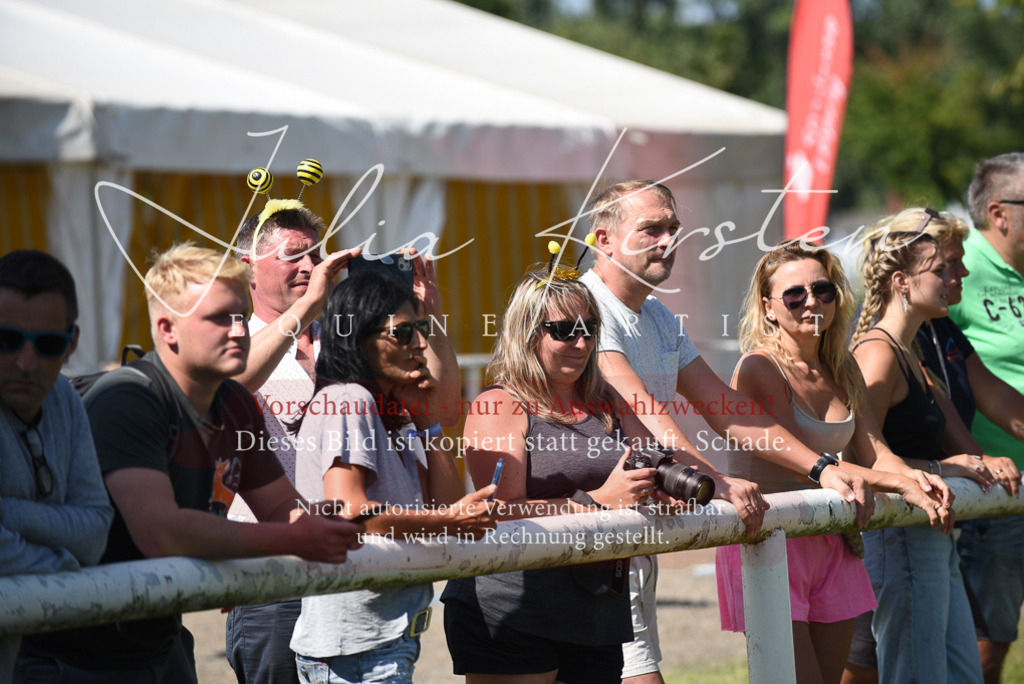 DSC_0434 | Pferde- und Turnierfotografie in Westsachsen. Pferdeportraits, Auftragszeichnungen und intuitive Kunst.
