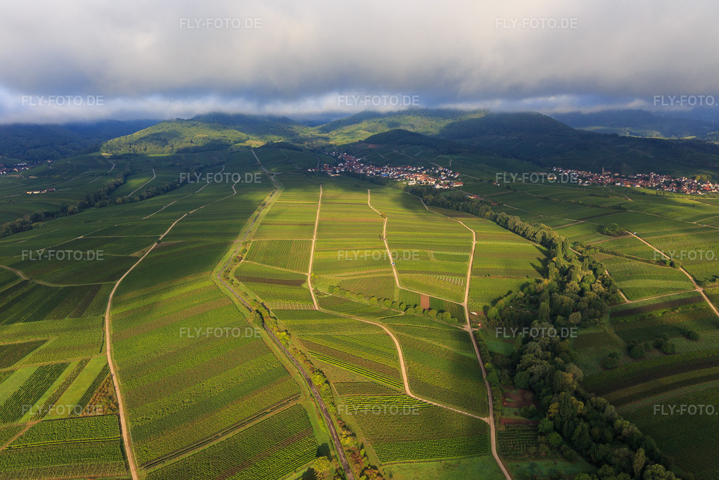 Luftbild: Ranschbachtal aus Osten im Ortsteil Arzheim in Landau im Bundesland Rheinland-Pfalz in Deutschland. Foto: IMG_103326.jpg vom 10.09.2017 durch Werner Riehm/FLY-FOTO.de