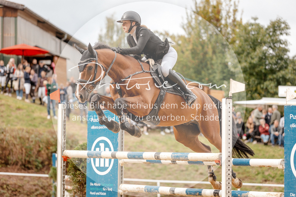 3I6A8249 | Stimmungsvolle Portraits und Reitsportfotografie im Ruhrgebiet und im Münsterland.

Pferdefotografie, Hundefotografie, Tierfotografie, Reportagen, Portraits von Tier und Mensch, Turnierfotografie in Bochum, Recklinghausen, Marl, Haltern am See, Dülmen.. - Realisiert mit Pictrs.com