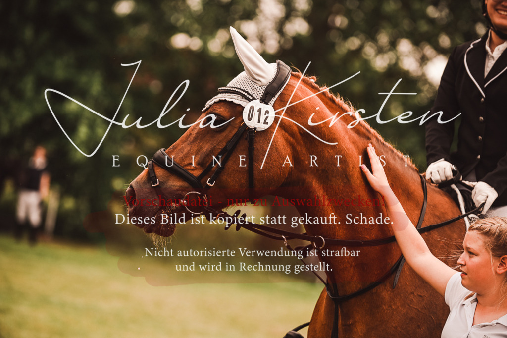 DSC_7024 | Pferde- und Turnierfotografie in Westsachsen. Pferdeportraits, Auftragszeichnungen und intuitive Kunst.