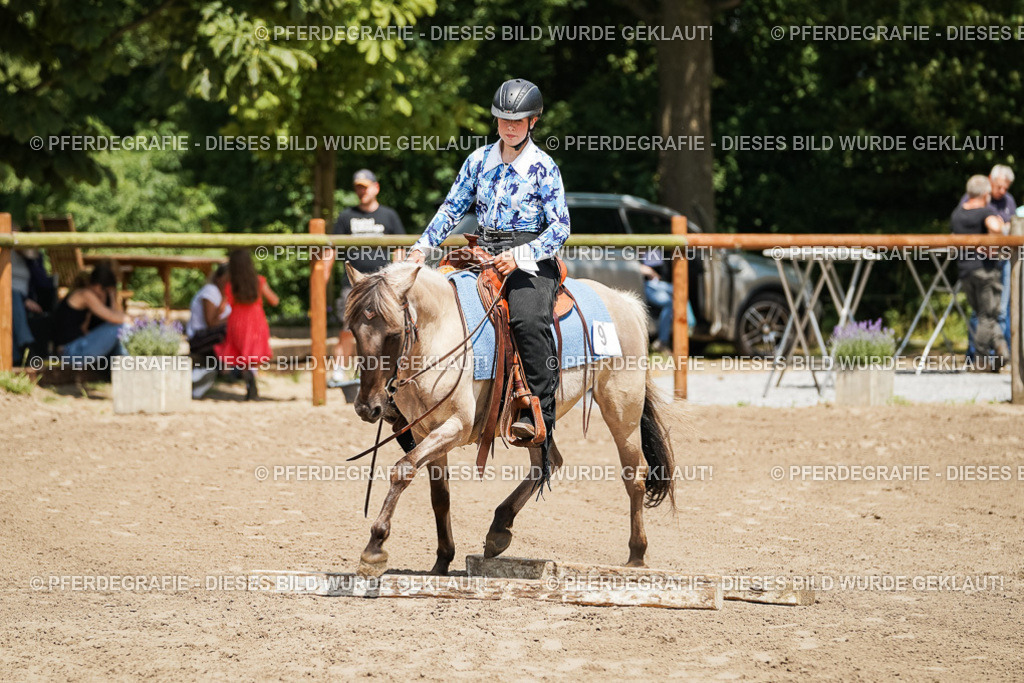 DSC07876 | Pferdegrafie