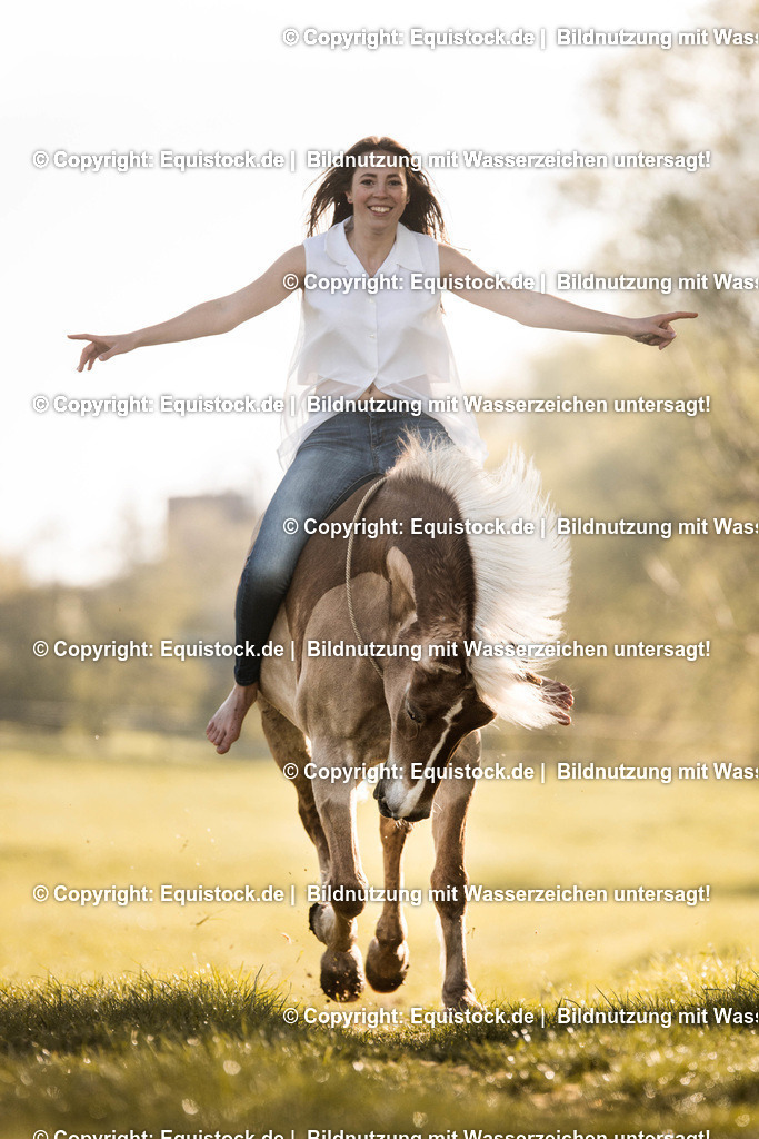 TS_20170418_Halsring_Haflinger_0001 | Foto: Thomas Hartig