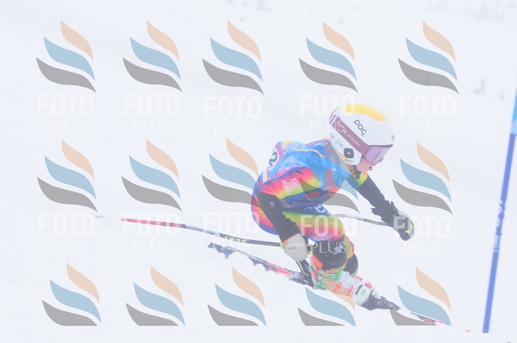 C2437 | holidayphoto