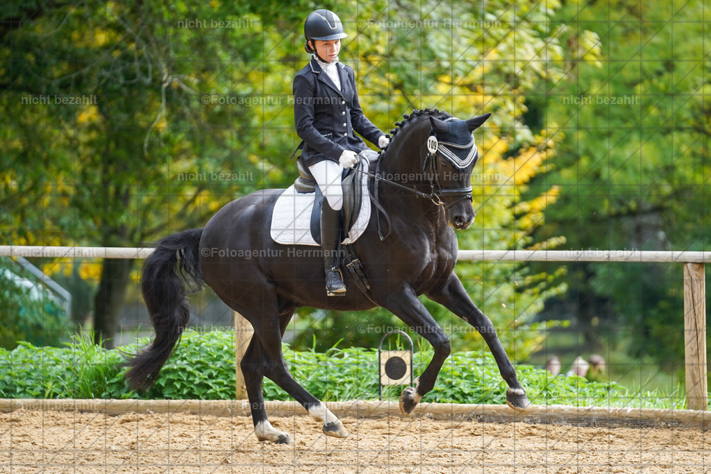 20221008-FAH01348 | Diessen am Ammersee, 2022, Dressur- und Springturnier, Reitsportbilder, Turnierfotografen Bayern, Pferdefotografen, Fotoagentur Herrmann, Turnierbilder