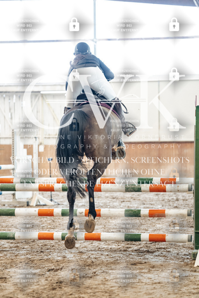 CK904232 | Turnierfotografie Pferdefotografie Trier Rheinland-Pfalz Pferdesport Reitsport Tierfotografie Sportfotografie Pferdevideo Pferdevideografie Equestrianvideography equestrianphotography  - Realisiert mit Pictrs.com