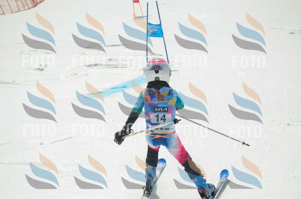 _ELE4639 | holidayphoto