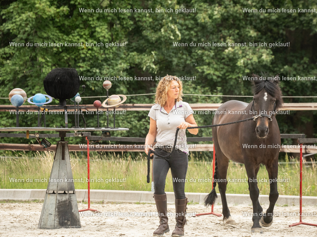 598A6575 | photographylinaismer - Realisiert mit Pictrs.com