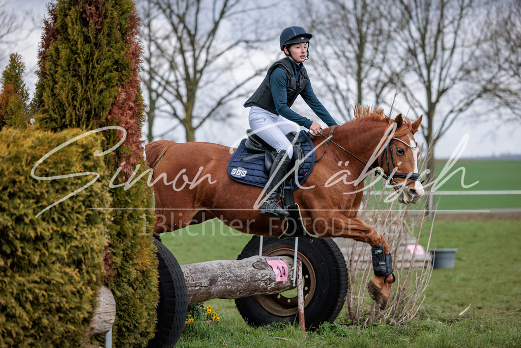 20260329-_3LI4512 | Tierfotografie Pferde, Hunde, Katzen, Haustiere.
Turnierfotografie Reitturniere, Reiten, Springreiten, Dressur in Hanau, dem Main-Kinzig-Kreis und dem Rhein-Main- Gebiet um Frankfurt