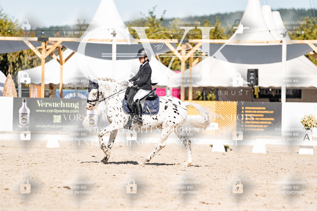 CK908566 | Turnierfotografie Pferdefotografie Trier Rheinland-Pfalz Pferdesport Reitsport Tierfotografie Sportfotografie Pferdevideo Pferdevideografie Equestrianvideography equestrianphotography  - Realisiert mit Pictrs.com