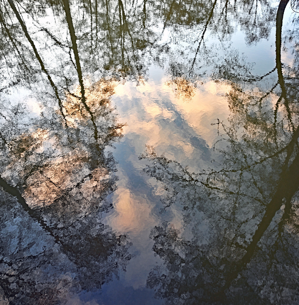 Reflexion03q | lucisnaturbilder - Realisiert mit Pictrs.com