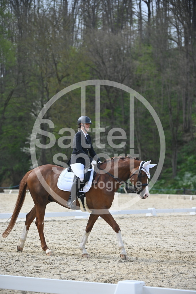 DSC_4723 | sattelsport - Realisiert mit Pictrs.com