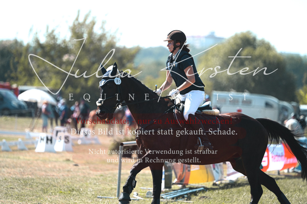 DSC_8038 | Pferde- und Turnierfotografie in Westsachsen. Pferdeportraits, Auftragszeichnungen und intuitive Kunst.