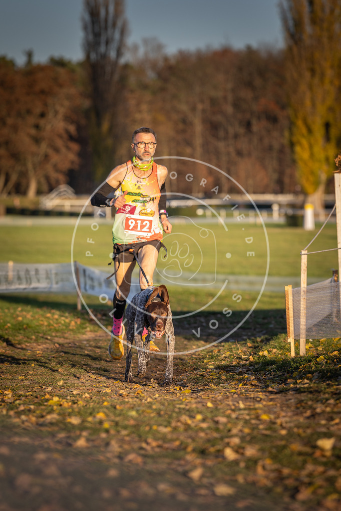 CaniXpix_DV3A4787 | Hundefotografie, Tierfotograf, Pfotenfotografie, Fotoshooting Hund, Hunde Portrait, Hundesport, Hundeportraits, Heideshooting, Hunde, Sportfotograf, Hundefotograf, Turnierhundsport, THS,  - Realisiert mit Pictrs.com