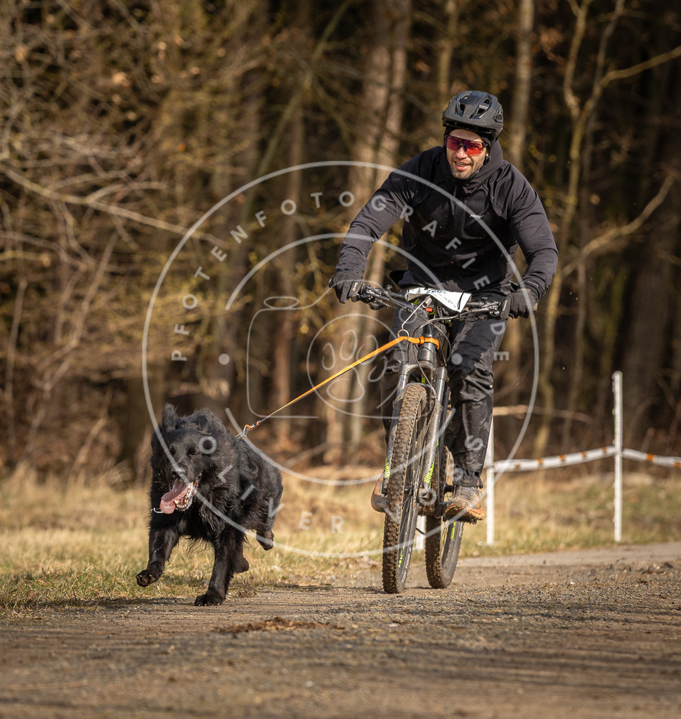 DV3A4390 | Hundefotografie, Tierfotograf, Pfotenfotografie, Fotoshooting Hund, Hunde Portrait, Hundesport, Hundeportraits, Heideshooting, Hunde, Sportfotograf, Hundefotograf, Turnierhundsport, THS,  - Realisiert mit Pictrs.com