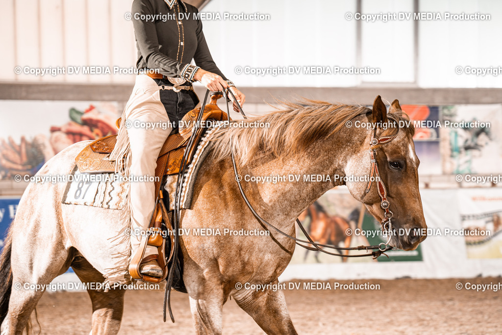 ZH100156 | dv-media-shop - Realisiert mit Pictrs.com