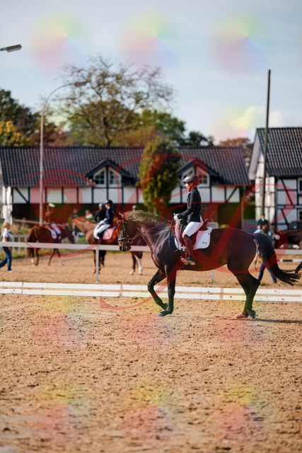 2026_10_03_Siefer-Hof_133518_Z63_94893713 | Professionelle Reitsport-, Turnier- und Eventfotografie von Robert Broda. Galerien mit ausgewählten und bearbeiteten Bildern direkt online ansehen und bestellen.