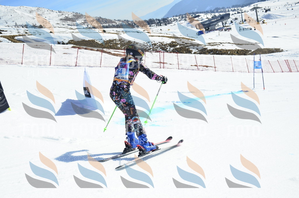 _ELE0268 | holidayphoto