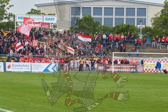 BFC Dynamo vs. FSV Zwickau 133 | mythos-online-redaktion