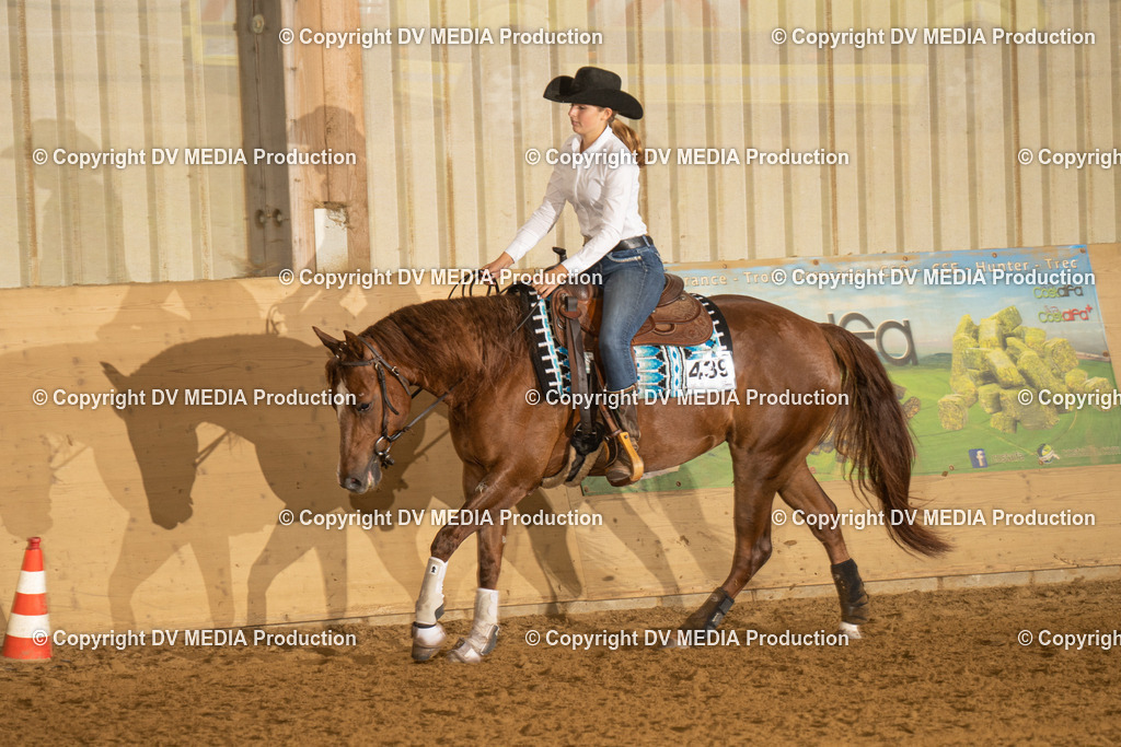 LAU00317 | dv-media-shop - Realisiert mit Pictrs.com