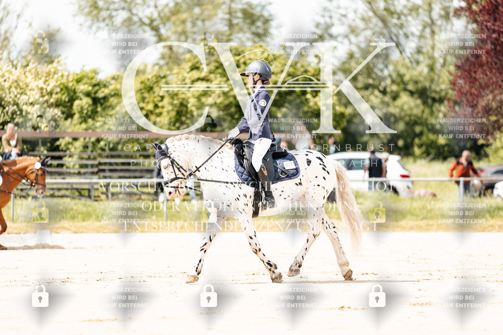 CK901660 | Turnierfotografie Pferdefotografie Trier Rheinland-Pfalz Pferdesport Reitsport Tierfotografie Sportfotografie Pferdevideo Pferdevideografie Equestrianvideography equestrianphotography  - Realisiert mit Pictrs.com
