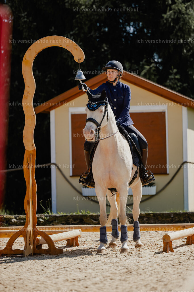 Nici11_FHC2025-27245 | working equitationturnier fotograf videograf stoibphotography marixx film working equitation deutschland reitsport turnierfotografie eventfotografie equestrian events