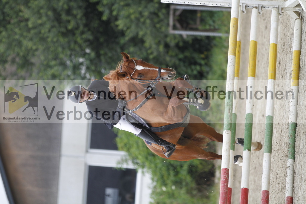 _MG_0384 | equestrian-live-com