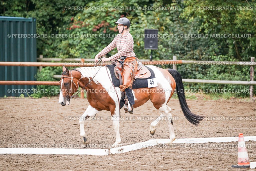 DSC02759 | Pferdegrafie