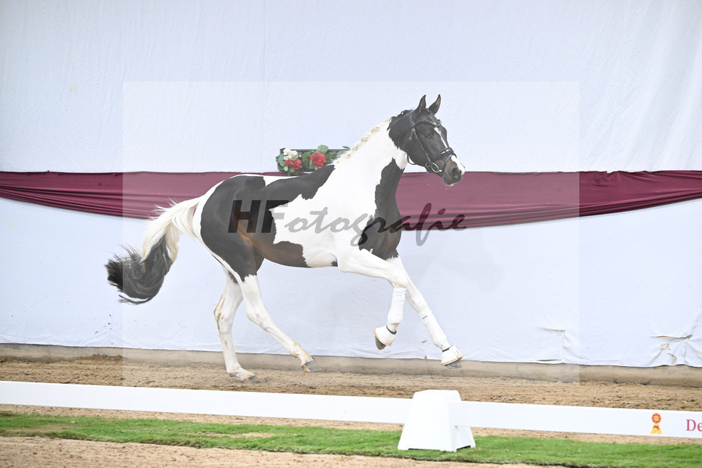 Kat-Nr. 117 Classic Deluxe x Don Martillo_Horst Schepper_47254045 | hf-fotografie - Realisiert mit Pictrs.com