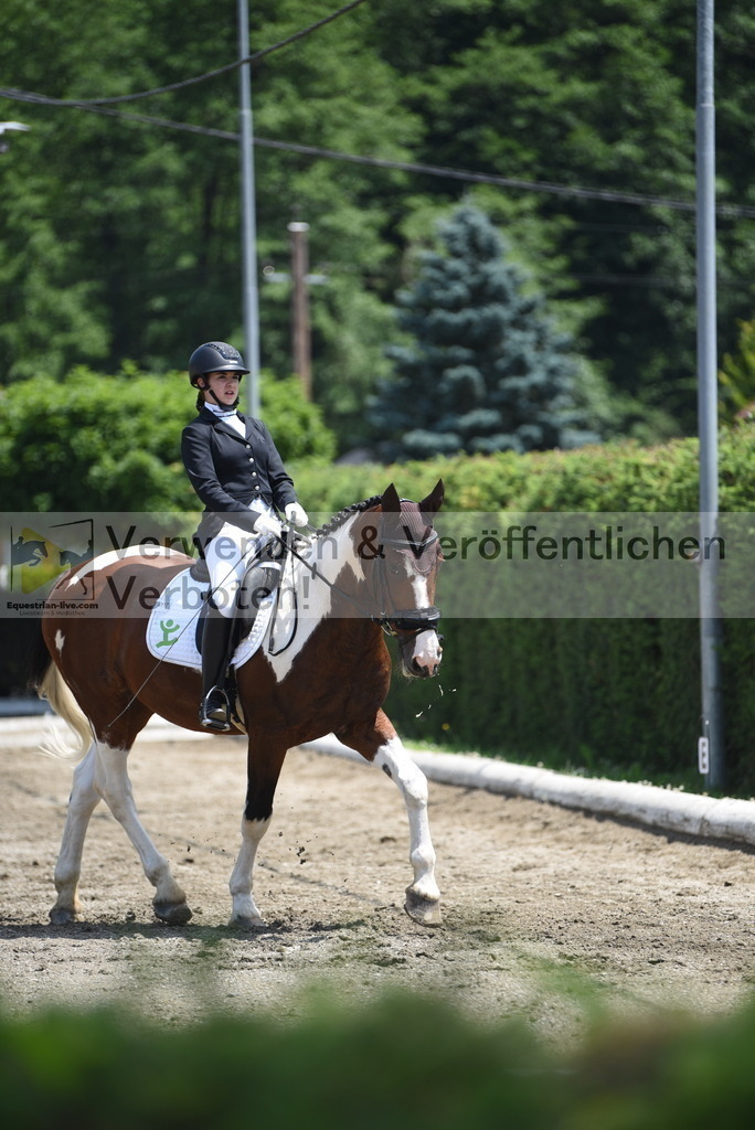 DSC_9688 | equestrian-live-com