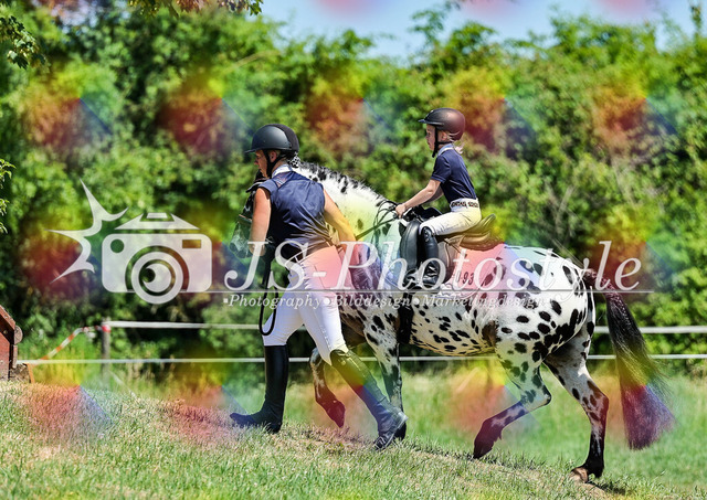 20260628_1_Führzügel-WB_C-C-16 | JS-Photostyle - Sport-/Portrait- & Eventfotografie