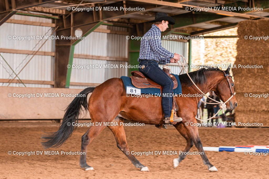 Balingen Tag 2-1559 | dv-media-shop - Realisiert mit Pictrs.com