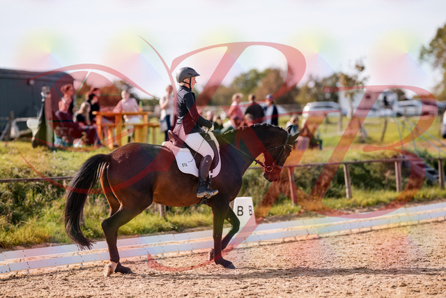 2026_10_03_Siefer-Hof_133823_Z81_95801721 | Professionelle Reitsport-, Turnier- und Eventfotografie von Robert Broda. Galerien mit ausgewählten und bearbeiteten Bildern direkt online ansehen und bestellen.