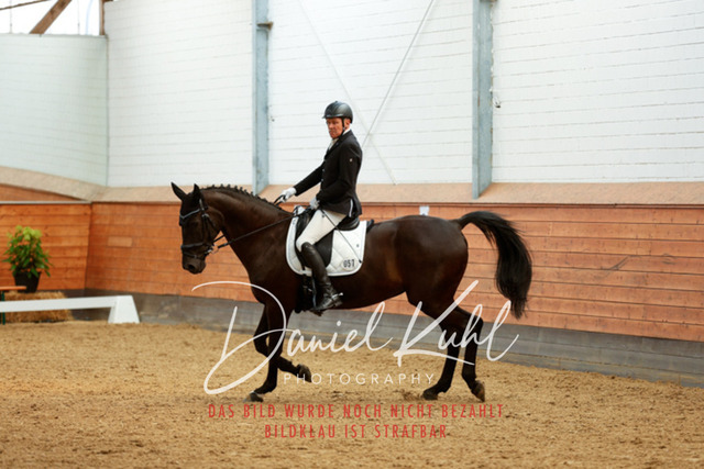 _62_4519 | Turniersportfotografie; Pferdefotografie; Dressurfotografie