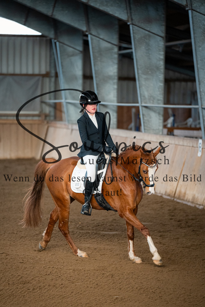 A7V05136 | Pferdefotograf