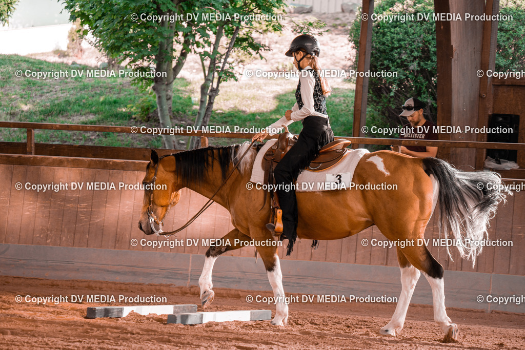 NE300074 | dv-media-shop - Realisiert mit Pictrs.com