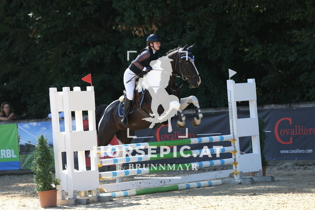 DL2Q8265 | Willkommen bei Brunnmayr - Design & Fotografie – Ihrem Spezialisten für Reitturniere und Pferdeveranstaltungen in Oberösterreich, Salzburg und Bayern! Seit über 17 Jahren sind wir leidenschaftlich dabei.