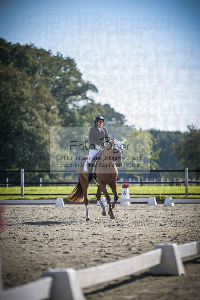 DOS_1752 | Entdecke hochwertige Reitturnierfotos von Foto Oger. Professionell, emotional und authentisch – jetzt Lieblingsmomente im Shop bestellen.Deutschlandweite Turnierfotografie. - Realisiert mit Pictrs.com