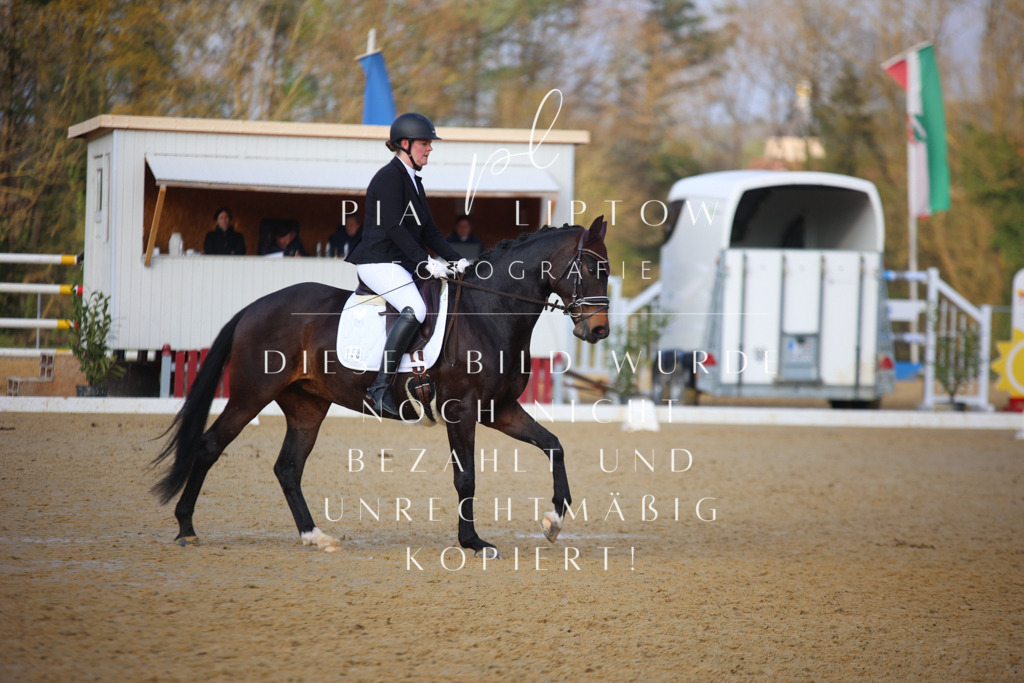 IMGT9030 | pl-fotografie