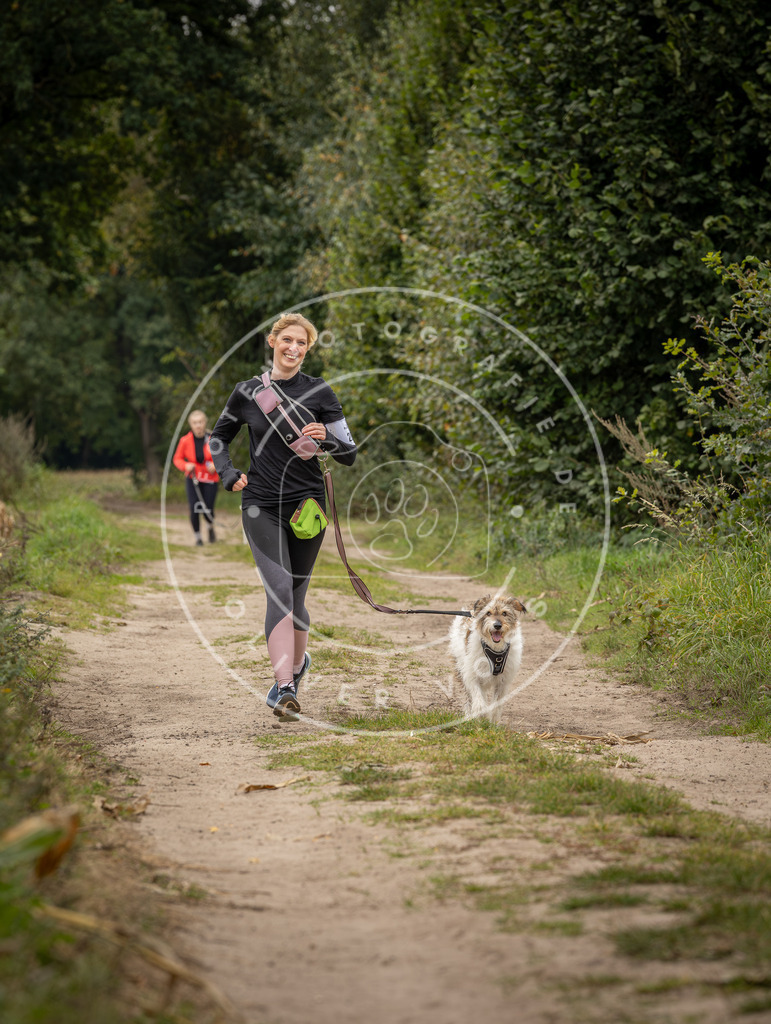 Pfotenfotografie_DV3A8200 | Hundefotografie, Tierfotograf, Pfotenfotografie, Fotoshooting Hund, Hunde Portrait, Hundesport, Hundeportraits, Heideshooting, Hunde, Sportfotograf, Hundefotograf, Turnierhundsport, THS,  - Realisiert mit Pictrs.com