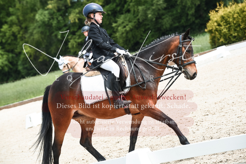 20230518_JK-Röhrsdorf-11-0199 | Pferde- und Turnierfotografie in Westsachsen. Pferdeportraits, Auftragszeichnungen und intuitive Kunst.